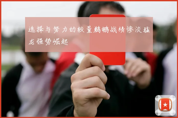 选择与努力的较量鹈鹕战绩惨淡猛龙强势崛起