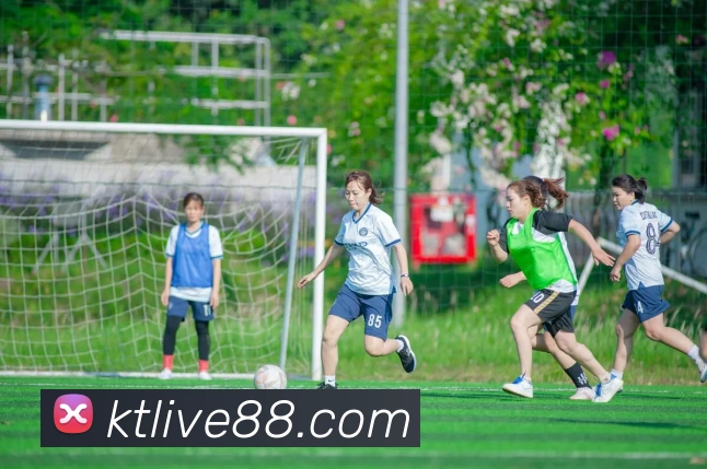 多媒体互动体验